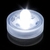 lampion-submersible-led-blanc-vendu-sur-www-deco-lumineuse-fr