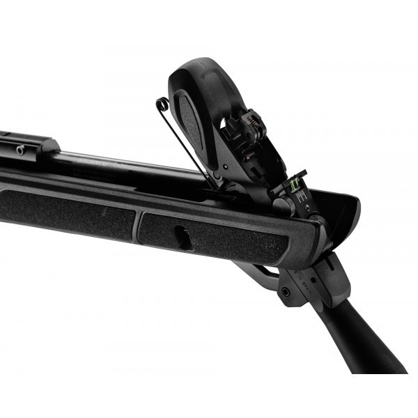 gamo_roadster_igt_10x_gen2_carabine_plombs_1_1