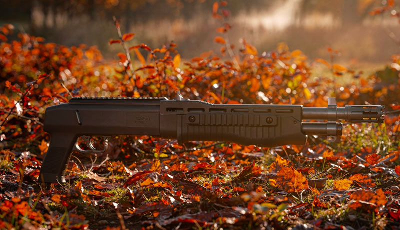 Poignée et rail du fusil TB68 GEN2
