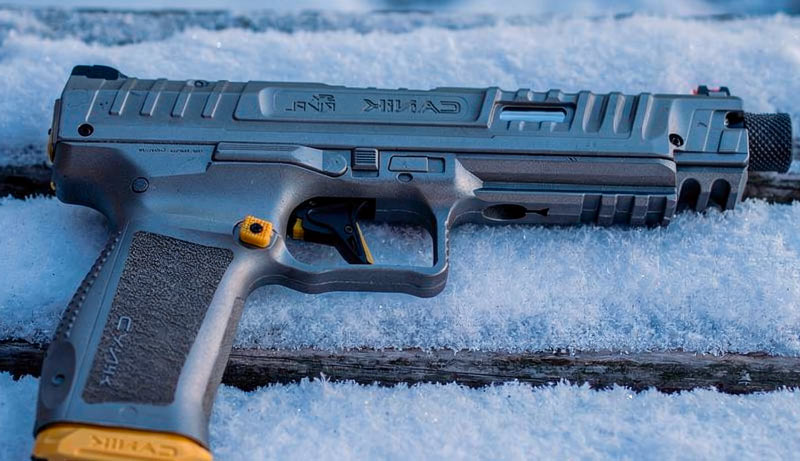 Armes autorisées sans permis catégorie D