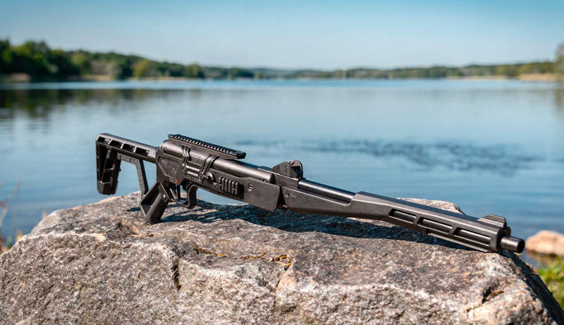carabine à plomb pour competition