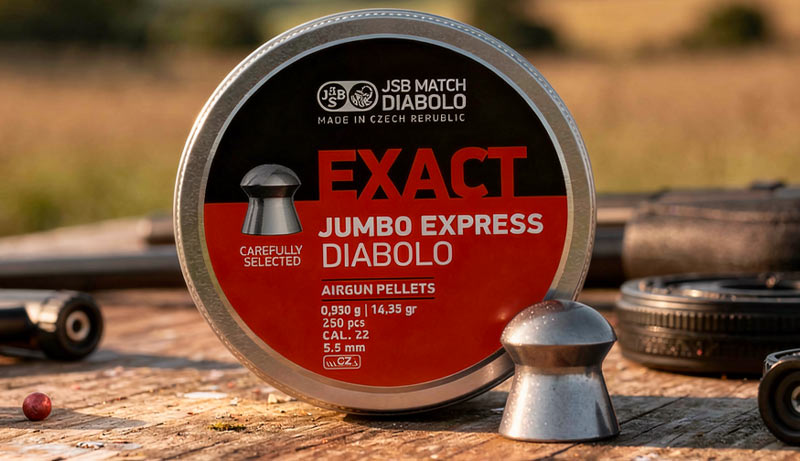 Détail des plombs JSB Exact Jumbo Express