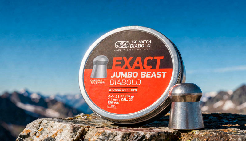 Plombs JSB Jumbo Beast 5.5 mm vue produit