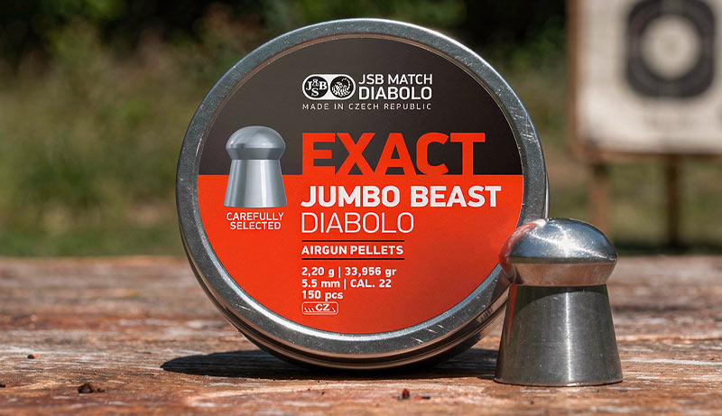 Détail tête bombée plomb JSB Jumbo Beast