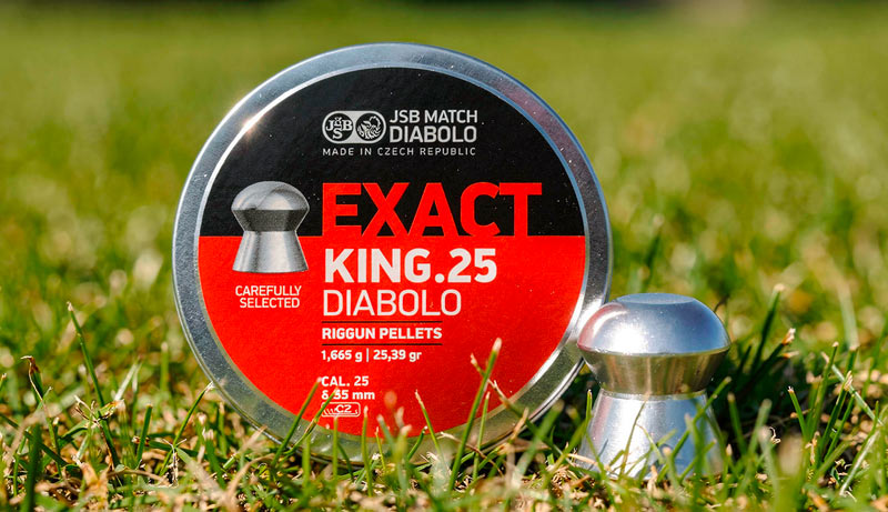 Détail plomb JSB Exact Jumbo King