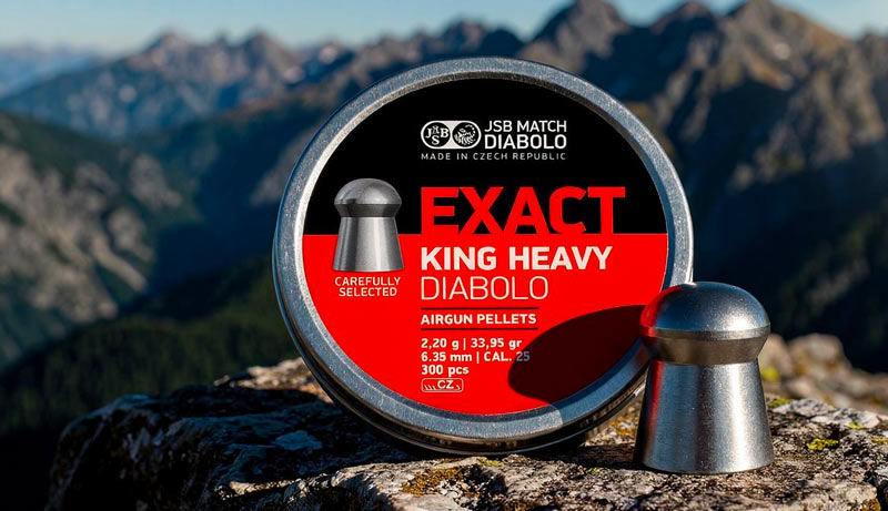 Plombs JSB Jumbo King Heavy 6,35 mm vue produit