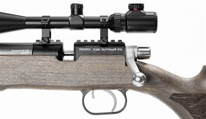 Crosse réglable et rail Picatinny de la JTS Stealth Hawk PCP