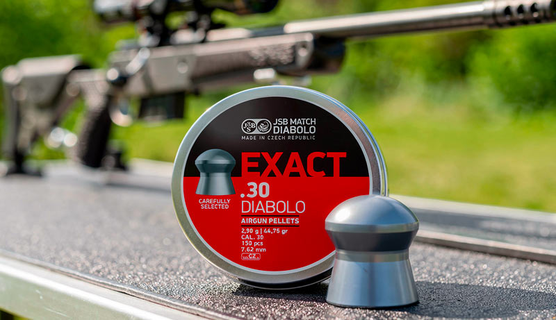 Détails des plombs diabolo JSB Exact calibre 7,62 mm 2,90 g