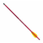 Trait rouge vu en diagonale, pointe noire en haut et empennage jaune en bas