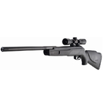 big-cat-gamo-seul