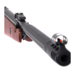 r-force-wood-calgpcanon