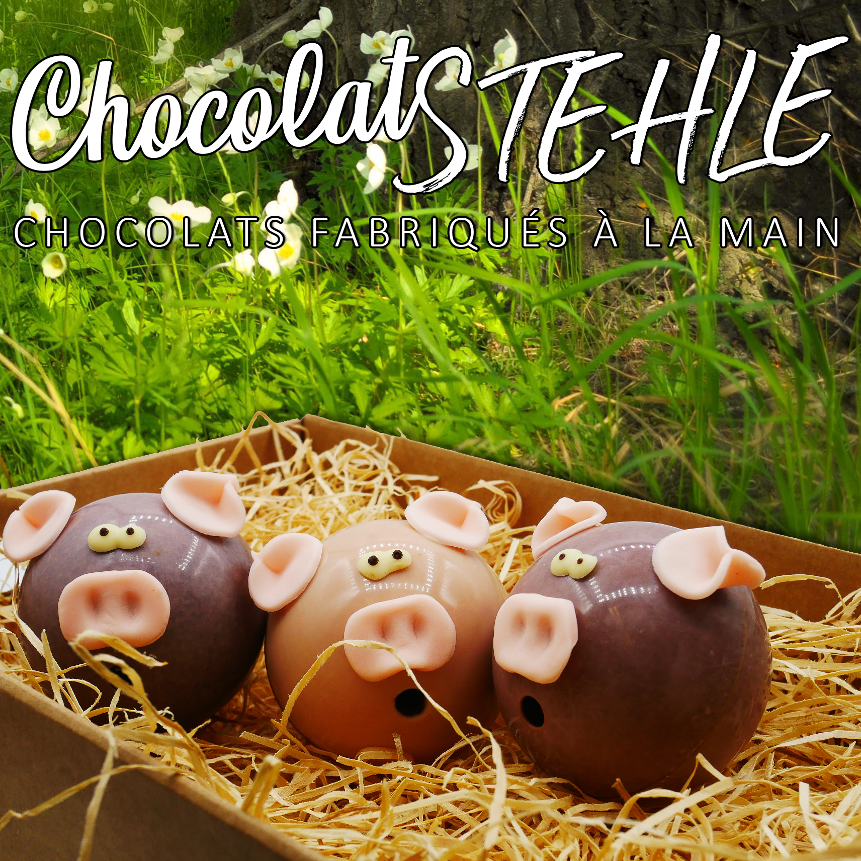 paques-2023-chocolatstehle-3-petits-cochons-copie