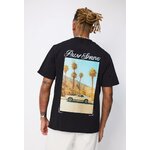 PALM