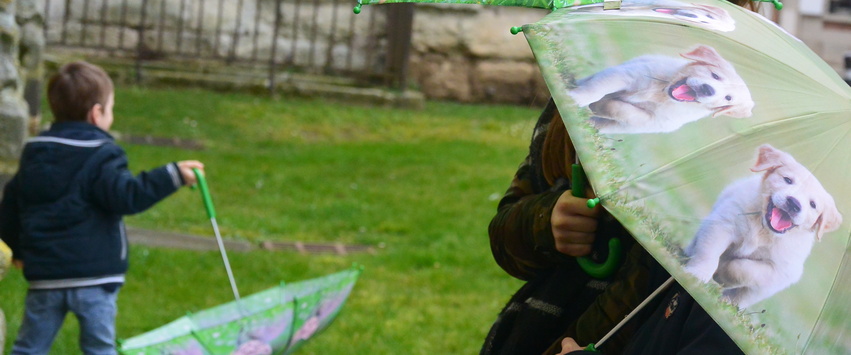 Parapluie Chiens – Inspiration Musées