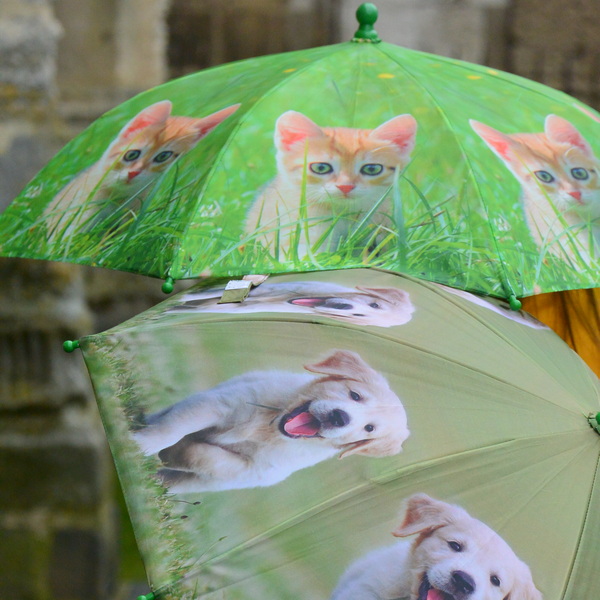CHEZ UGO ET LEA voyage et découverte parapluie enfant chien chat esschert design 5