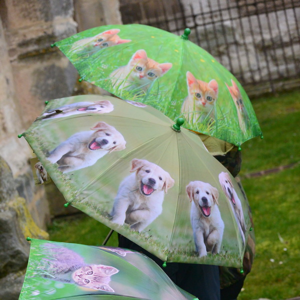 CHEZ UGO ET LEA voyage et découverte parapluie enfant chien chat esschert design 8