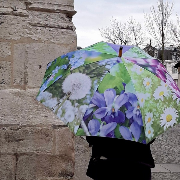 CHEZ UGO ET LEA voyage et découverte parapluie de fleurs esschert design