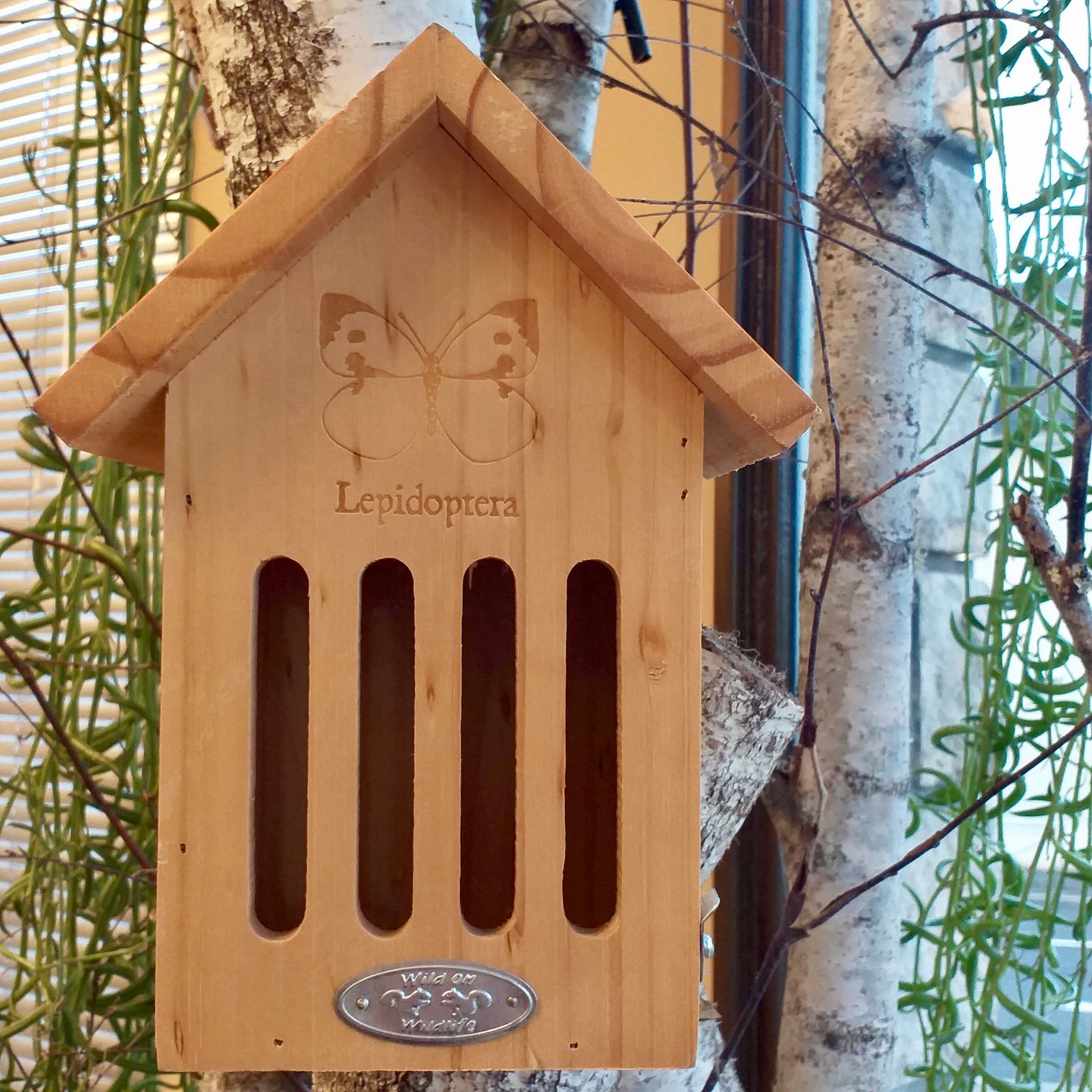 CHEZ UGO ET LEA nature et végétal eschert design hotel a insectes cabane oiseau 2