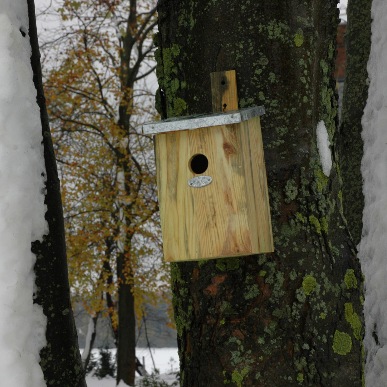 CHEZ UGO ET LEA nature et végétal esschert design cabane mesange 5