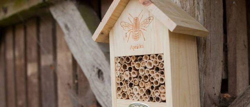 hotel a abeilles  hotel a insecte esschert design cabane oiseau en bois