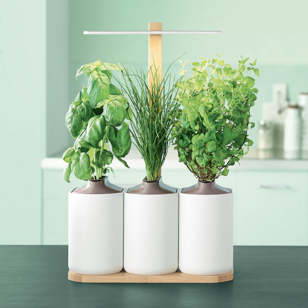 J'ai testé : planter mon mini jardin d'intérieur avec Lilo de Prêt