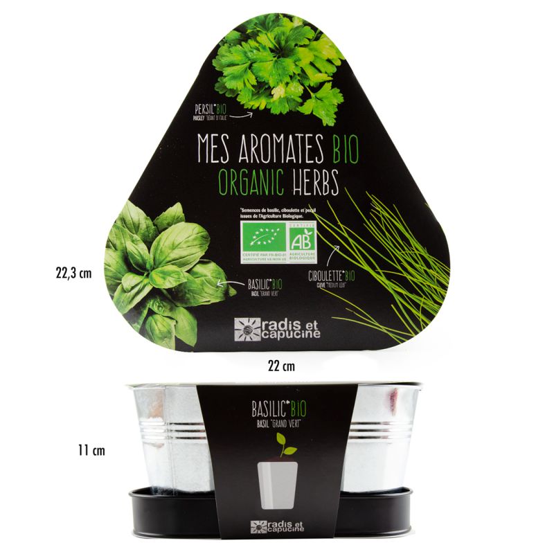 Mes aromates bio en pots zinc / basilic ciboulette persil