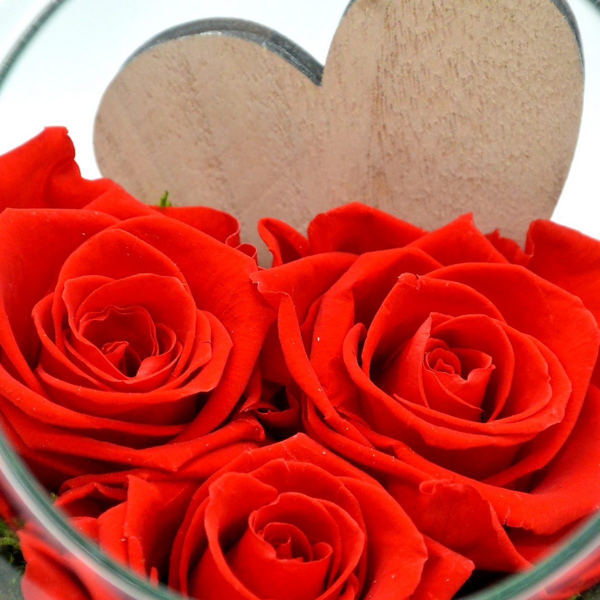 compostion florale rose eternelle rouge saint valentin. une idee cadeau chez ugo et lea realisee par un artisan fleuriste à dreux et rambouillet (4)