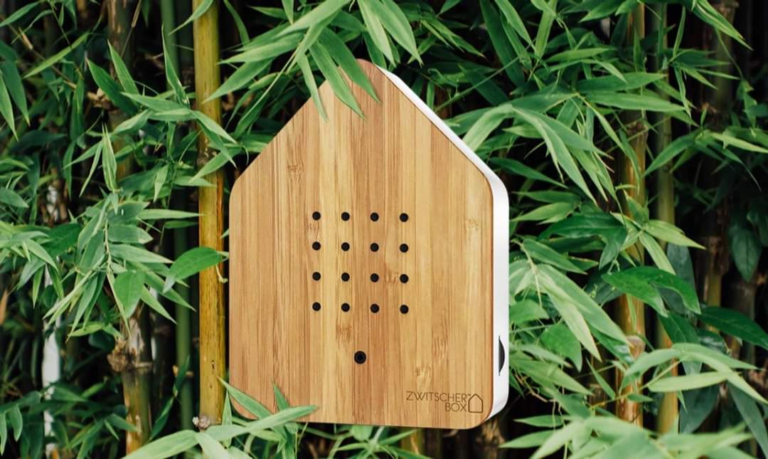 relaxound zwitscherbox nichoir chant d oiseau en bambou une idee cadeau chez ugo et lea (6)