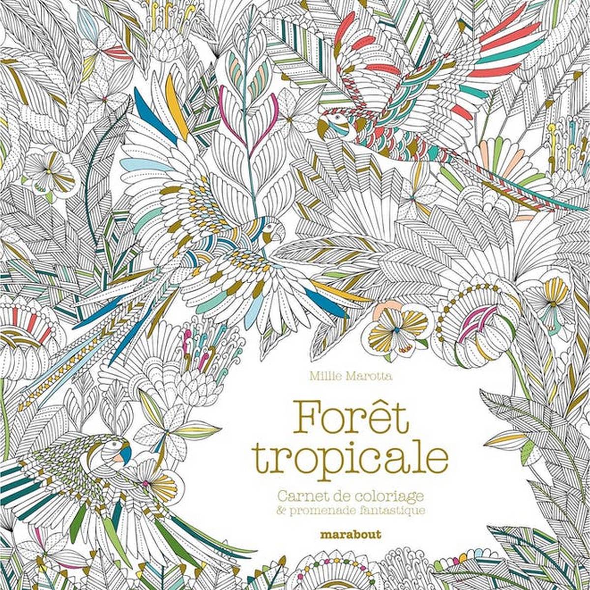 Carnet de coloriage Forêt tropicale