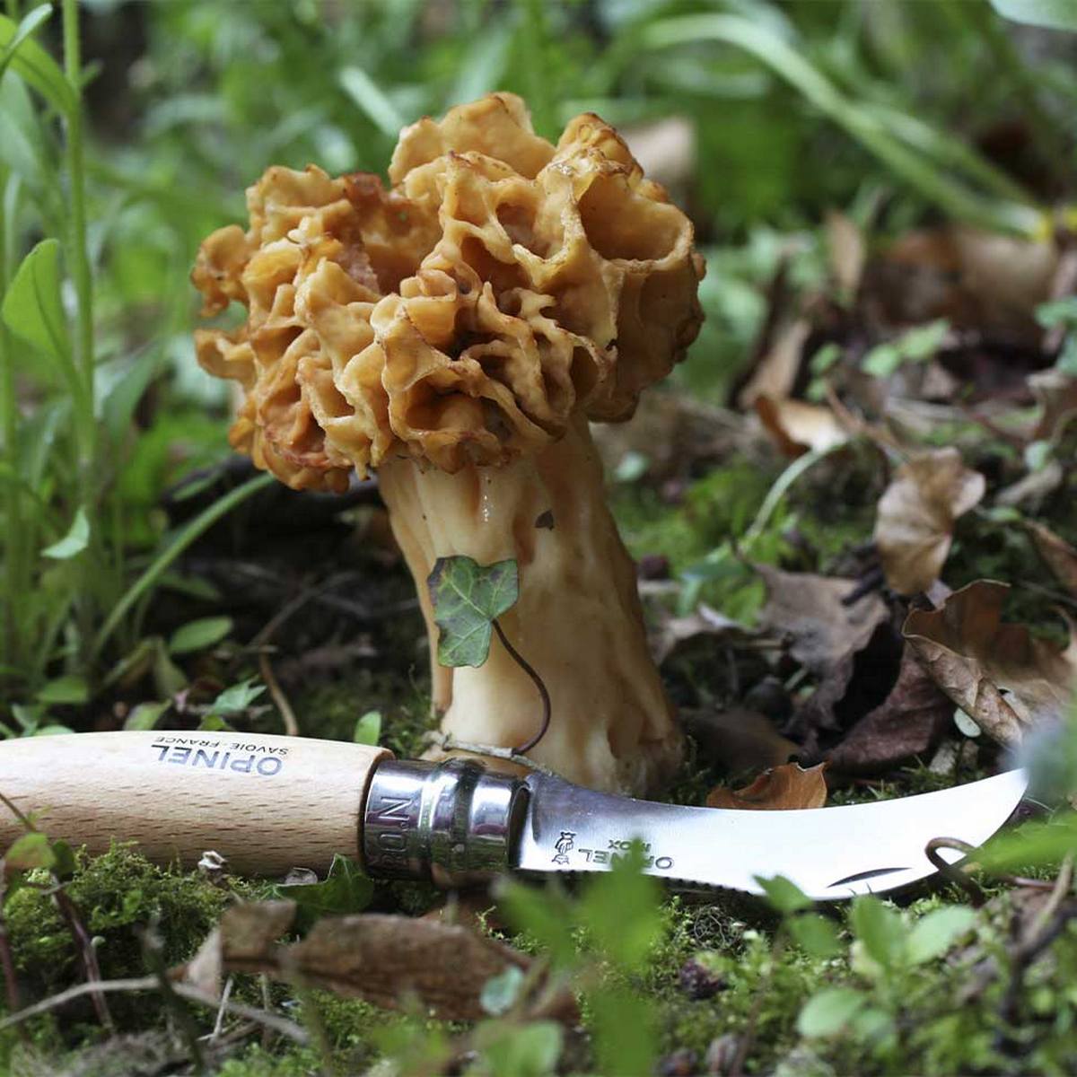 opinel couteau numero à champignon et son etui une idee cadeau chez ugo et lea (7)