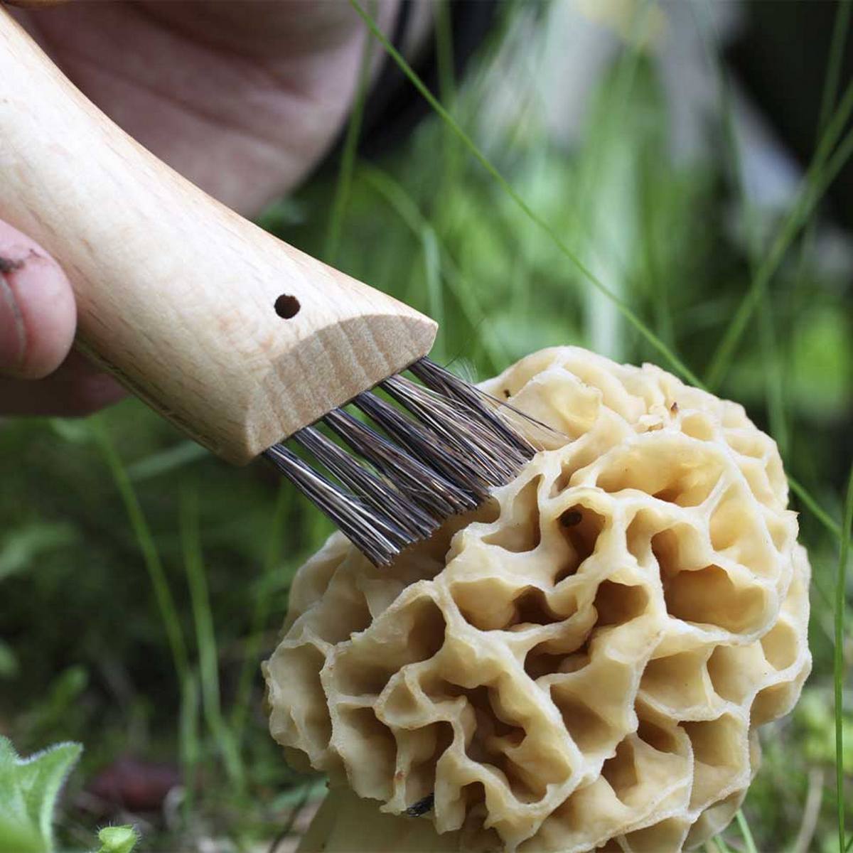 opinel couteau numero à champignon et son etui une idee cadeau chez ugo et lea (6)