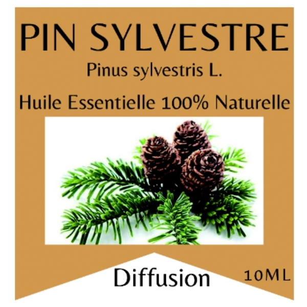 Huile essentielle 100% naturelle Pin sylvestre 10 ml