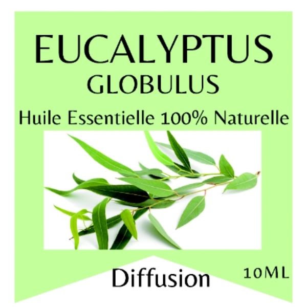 Huile essentielle 100% naturelle Eucalyptus 10 ml