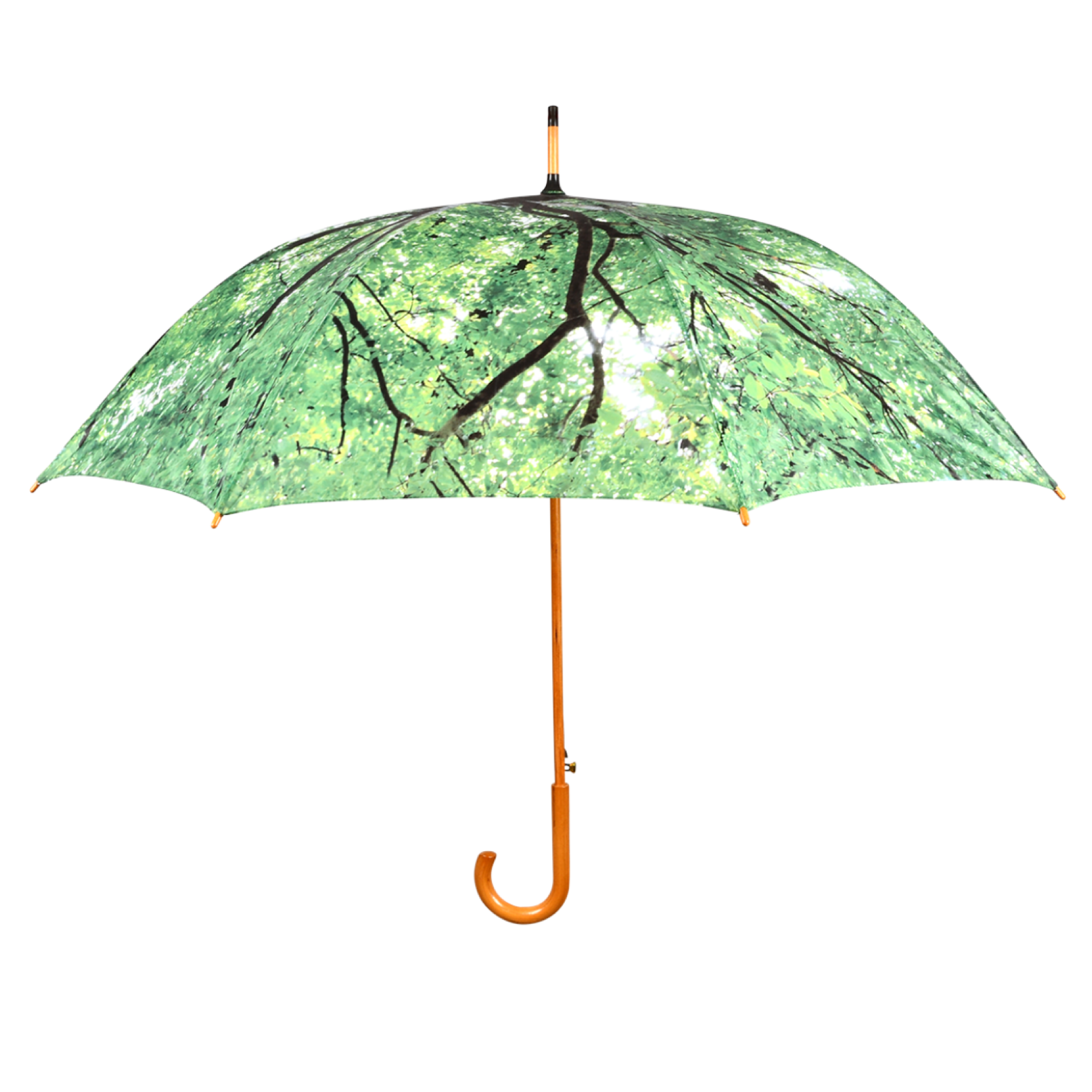 Parapluie cime d\'arbre