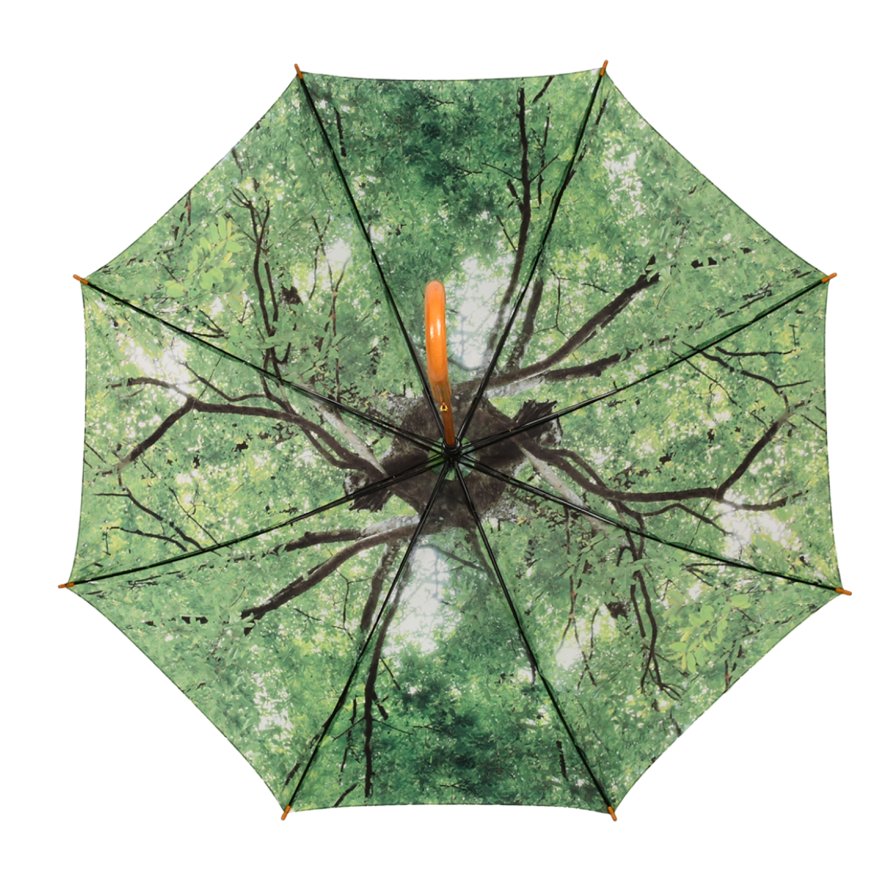 TP339 parapluie cime d arbres esschert design chez ugo et lea (3)
