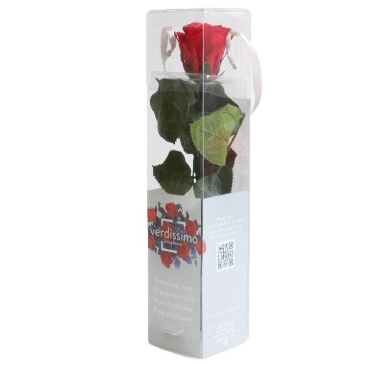 Rose éternelle rouge 30 cm