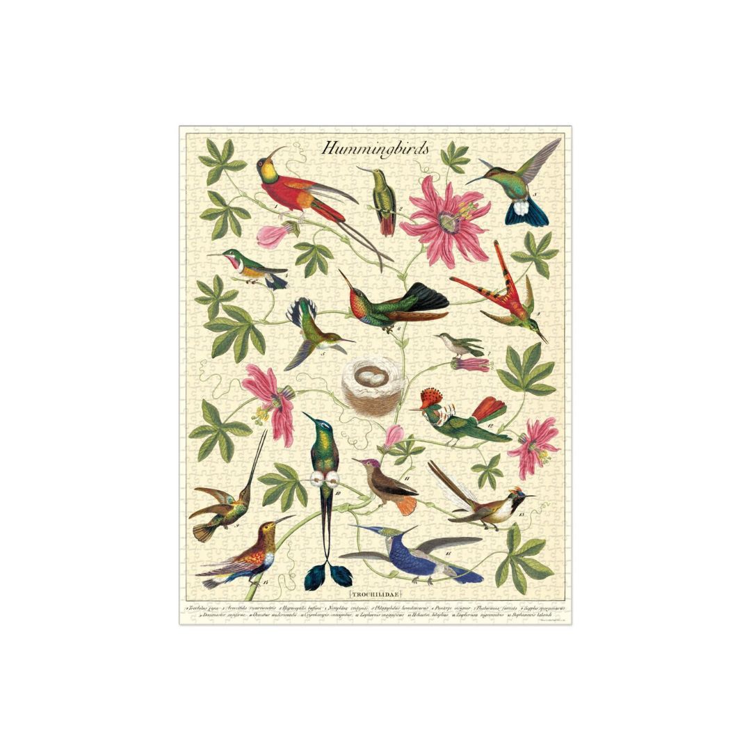 cavallini letterbox puzzle collibris adulte 1000 pieces une idee cadeau chez ugo et lea (4)