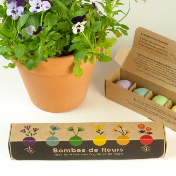 resetea bombes graines fleurs une idee cadeau pret a pousser chez ugo et lea (3)