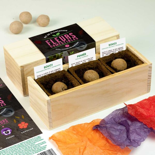 resetea mini potager auto culture fleurs comestible une idee cadeau pret a pousser chez ugo et lea 3