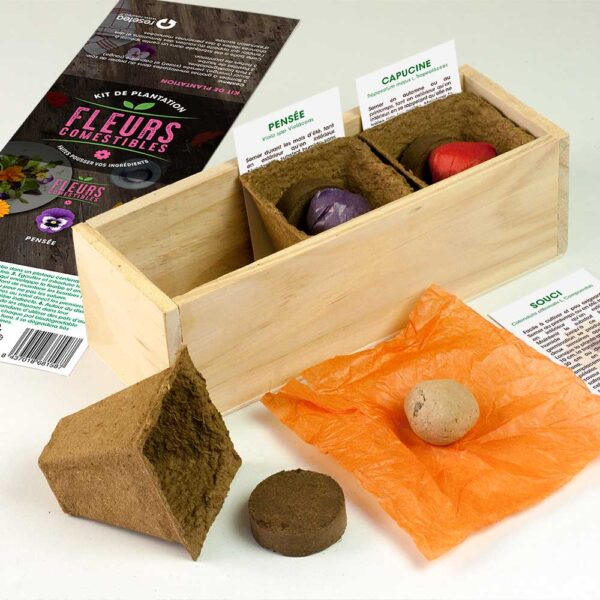 resetea mini potager auto culture fleurs comestible une idee cadeau pret a pousser chez ugo et lea 2