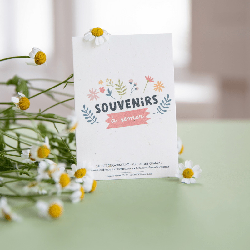 carte_graines_la_fabrique_à_sachets_souvenirs à semer graines de champs_chez_ugo_et_lea-2