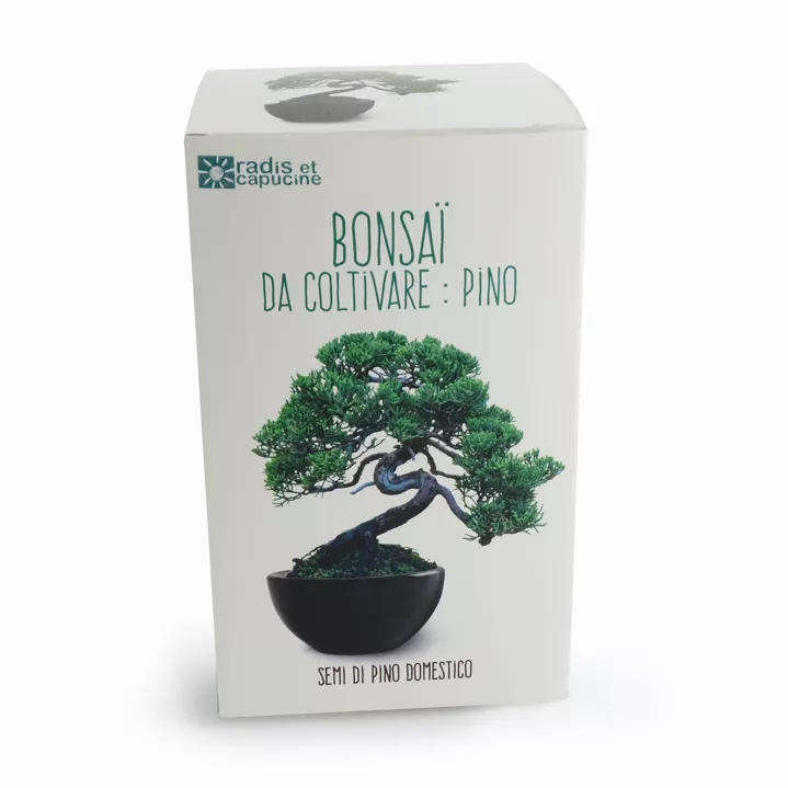 Boîte du kit bonsaï à faire pousser
