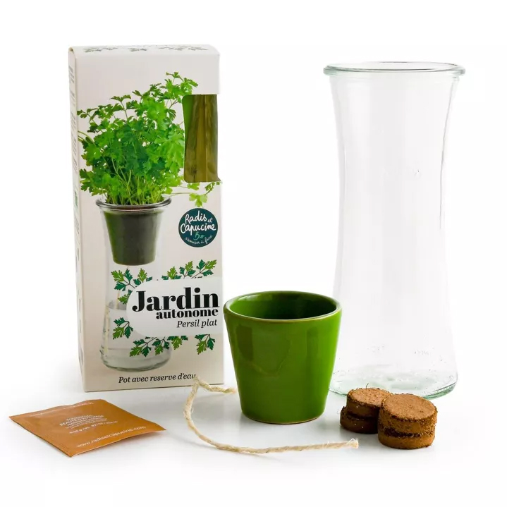 les éléments du kit basilic grand vert