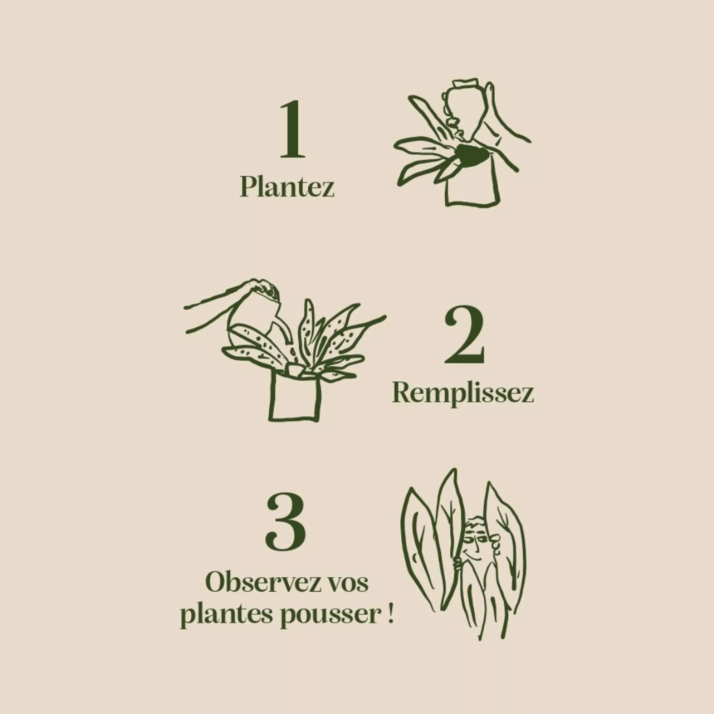 instruction