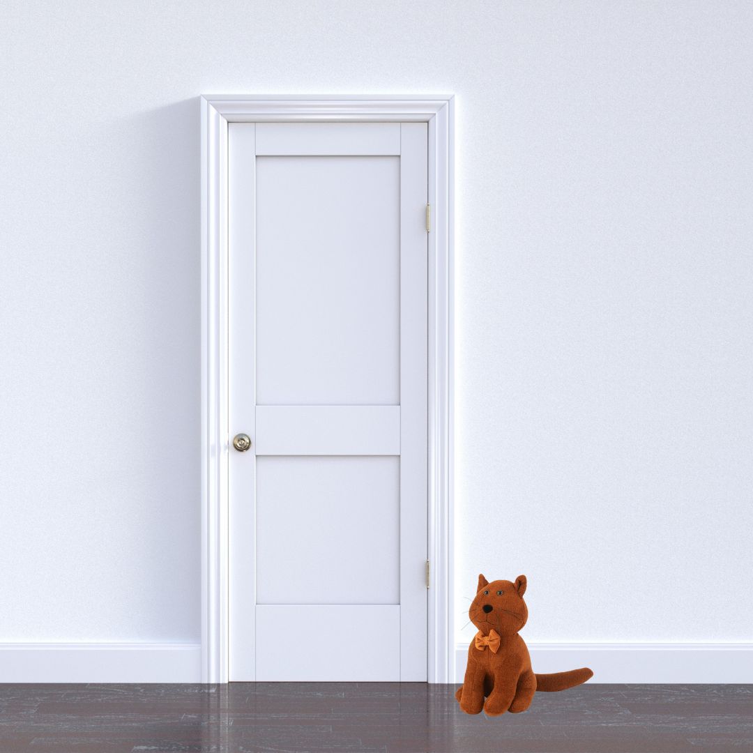 Cale porte en forme de chat devant une porte