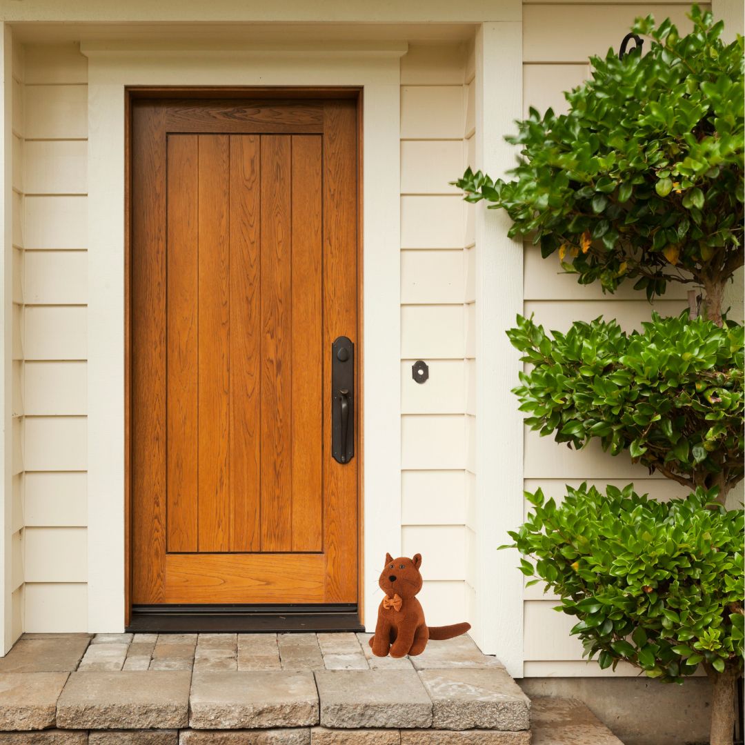 Chat devant la porte