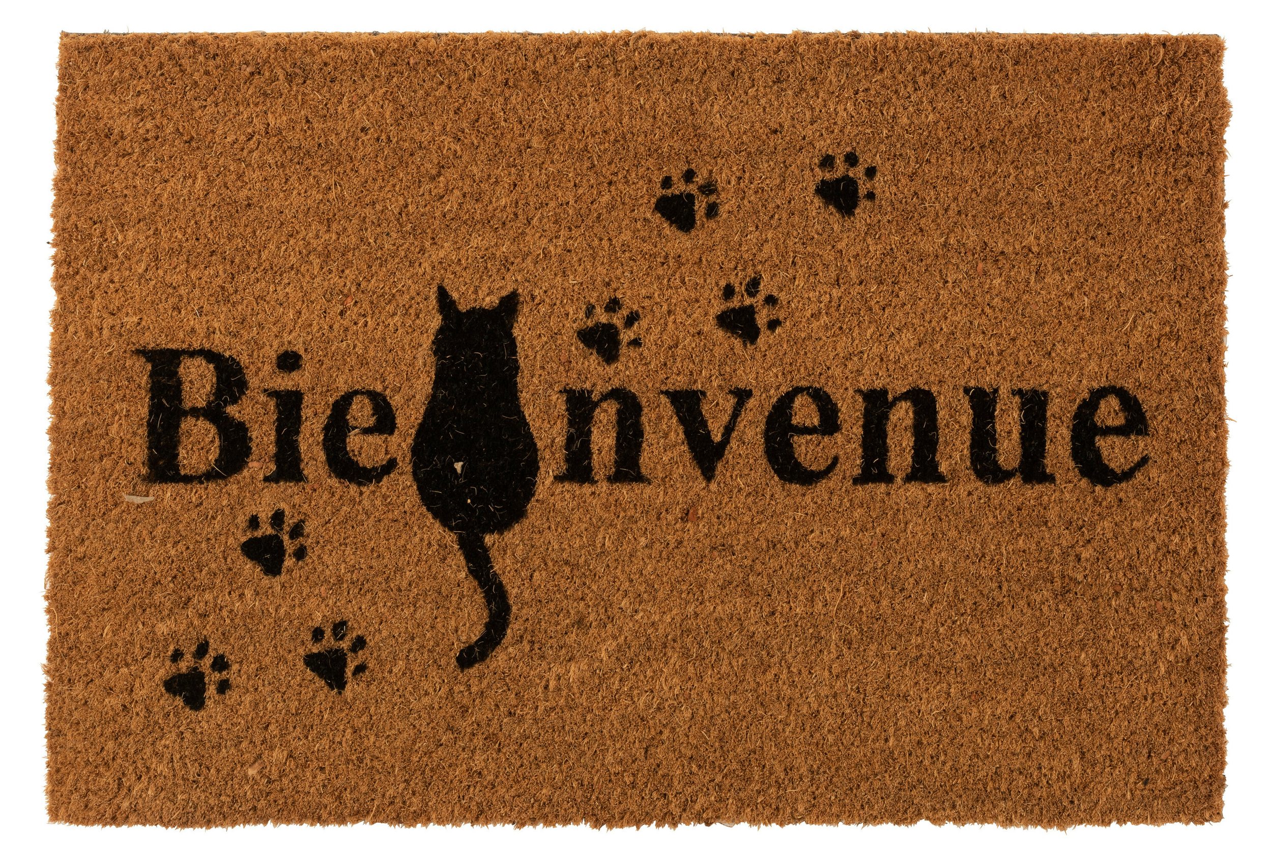 Pallaisson bienvenue avec un chat