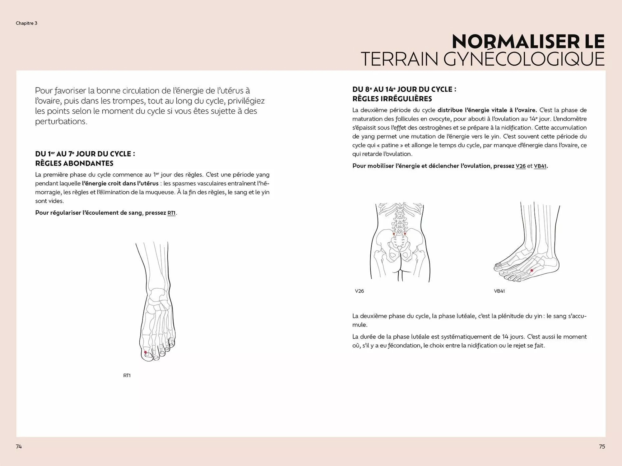 fiche normaliser le terrain gynécologique