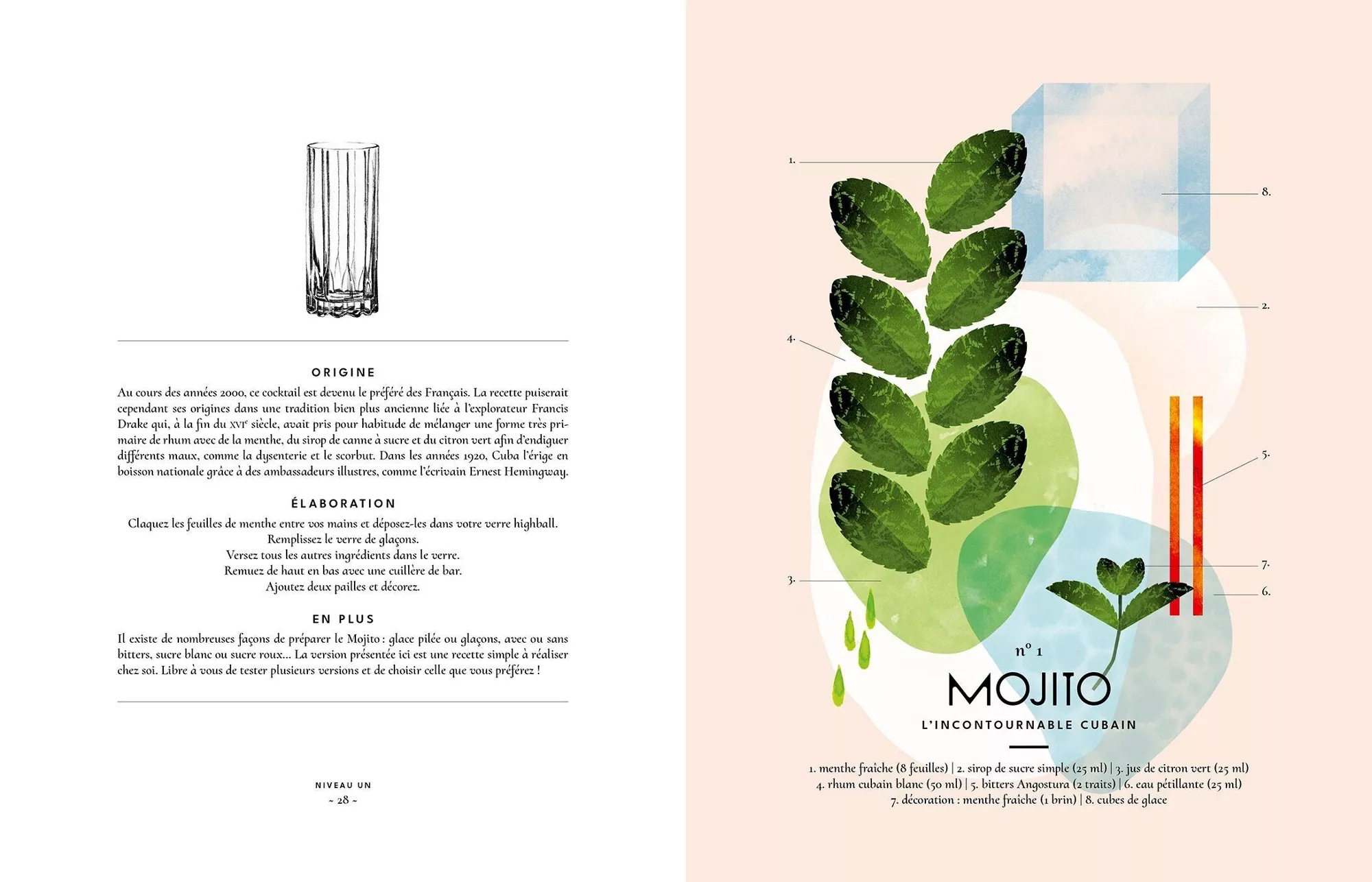 tutoriel pour réaliser un mojto