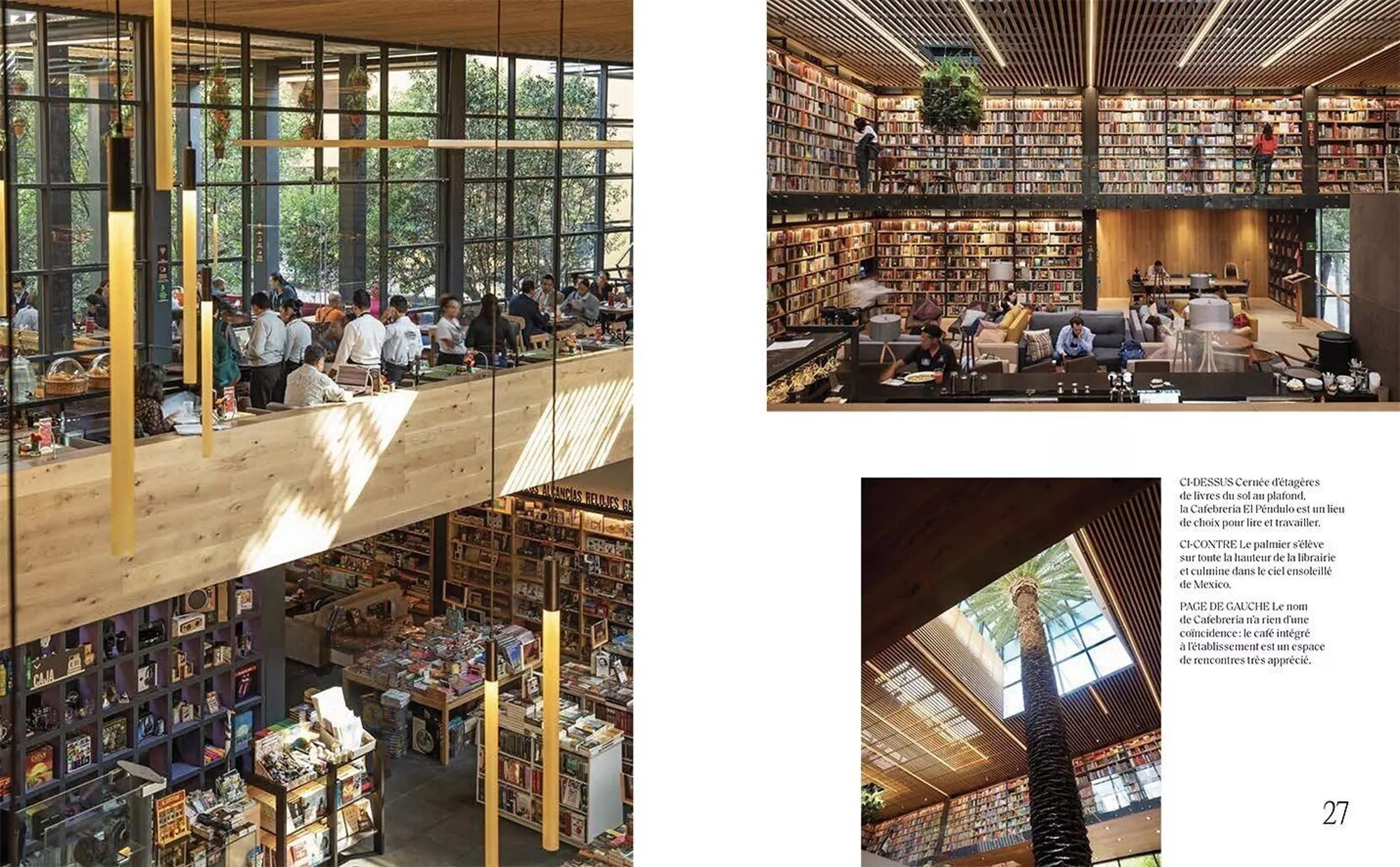illustrations du livre des plus belles bibliotèque dans le monde